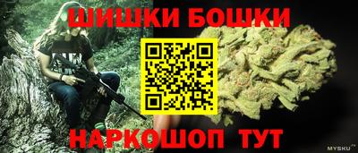 индика Обнинск