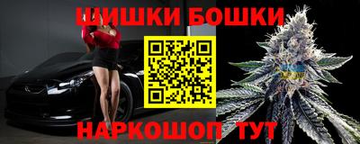 индика Обнинск