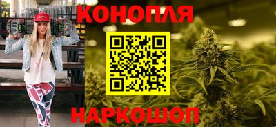 индика Обнинск