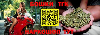 индика Обнинск