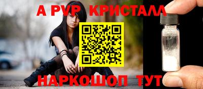 индика Обнинск