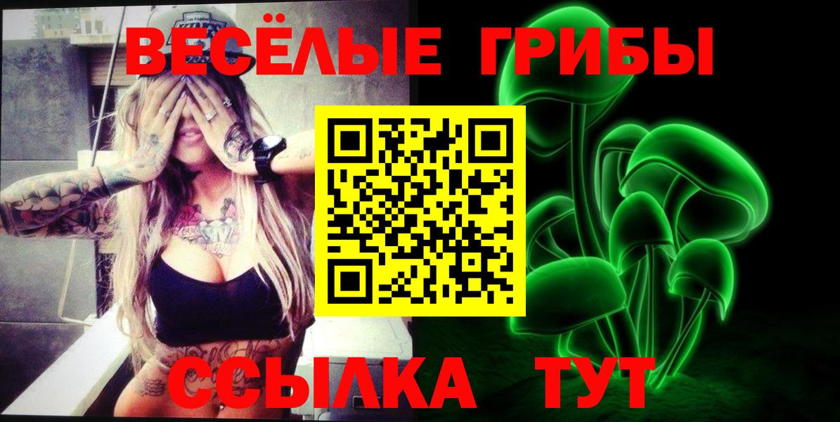 Соль-Илецк  Галлюциногенные грибы мицелий  Вход с VPN  Псилоцибиновые грибы Cubensis 
